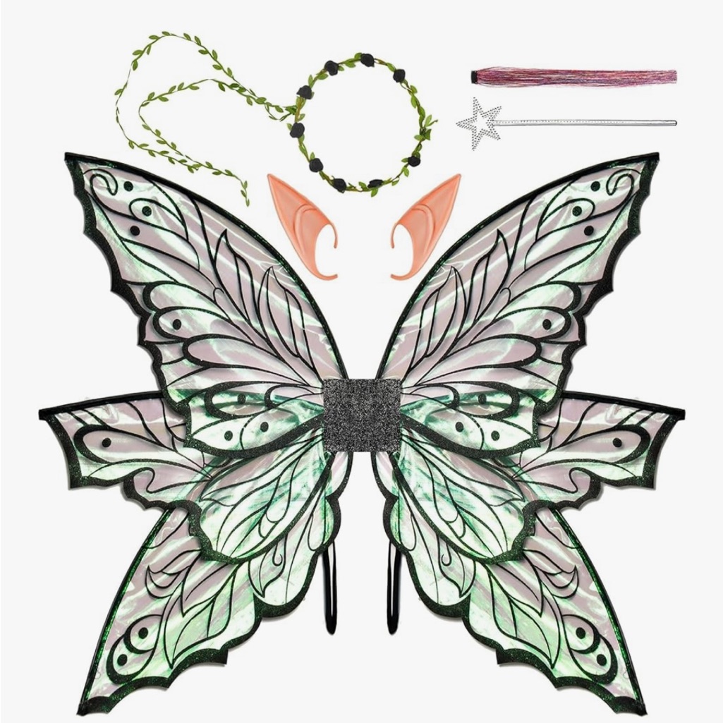 Fairy Costume Set With Wings And Accessories